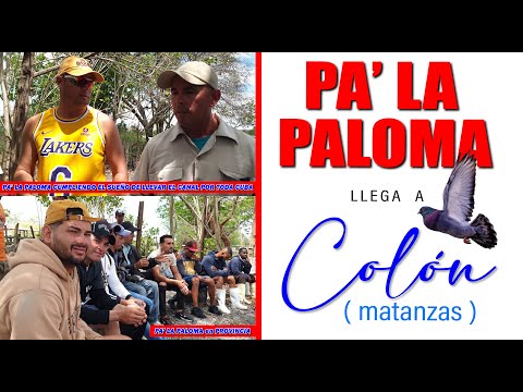 DEBATE de PALOMEROS - PA' LA PALOMA en COLON, MATANZAS