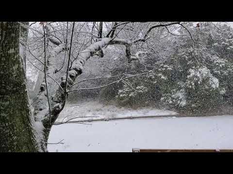 Austin Snow Day - 2021 - Rolling in the Deep