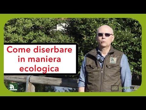 Pazienti dopo totale dellanca e del ginocchio Se molto dolorante parte bassa della schiena di una donna che cosa fare