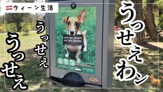 【海外生活】アラフォーついにAdoを知る|春、時々雪な4月。