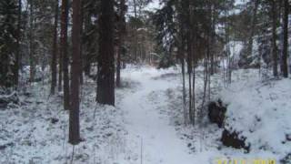 Schneewanderer - Timo Rautiainen &amp; Trio Niskalaukaus