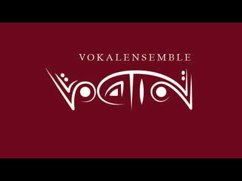 Vokalensemble Vocation - Pentatonix - Run to you