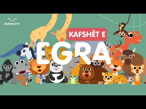 🐘 Kafshët e Egra për Fëmijë Parashkollorë🦁 Bubrreci TV - Kafshët