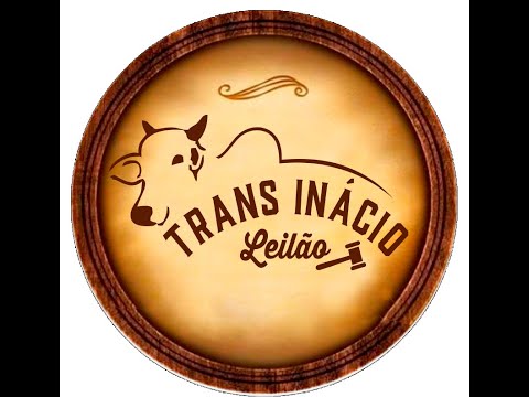 Leilão de Gado em MORRINHOS-GO, 08/02/2026  TransInácio Leilão - 18:00 Hs - Presencial e virtual.