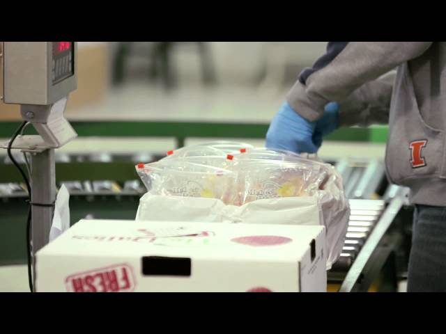 Expand Your Horizons: Lebanese Cherry Farmer Exchange