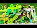 Unboxing Review ASMR Jurassic World Toys Colorful Dinosaur T Rex Giga Stegosaurus Ankylosaurus
