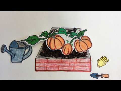 "P is for Pumpkin" | Alphabet fun is for Everyone! | Stopmotion Entertainment | Miss Sasha |