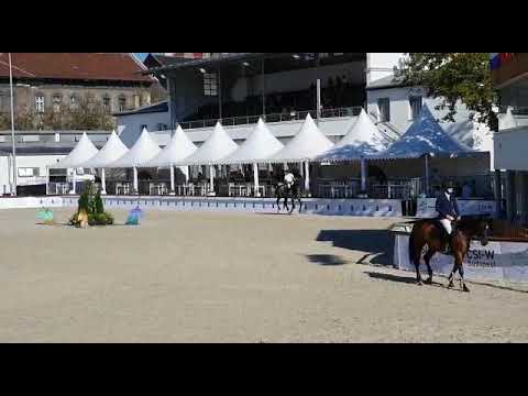 MADE BY KES: 2013 gelding WESTF by Dibadu L x Cornet Obolensky