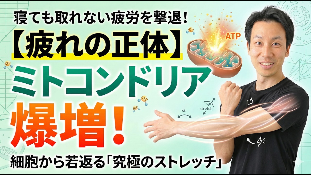 しっかり寝たはずなのに、体が重い……その原因は、筋肉ではなく細胞内の発電所「ミトコンドリア」の機能低下かもしれません 。