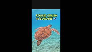 SNORKELING 🤿 IN BONAIRE 🇧🇶 AT CRUISE 🚢 PORT