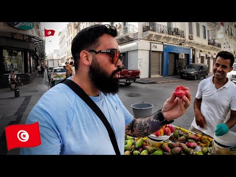 My First Day in Tunisia and I Love it Here! 🇹🇳  (Tunis)