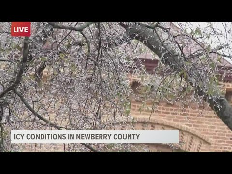 Update on winter storm in Newberry County