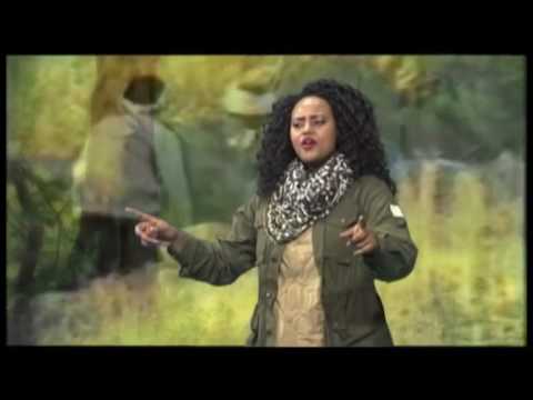 ዘልኣለም  ሸዊት መዝገቦ/Ethiopian music shewit mezgebo