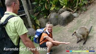 Kuranda Self Drive Cairns Tours