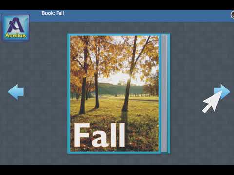 DPS003  INTRODUCTION   READ A BOOK