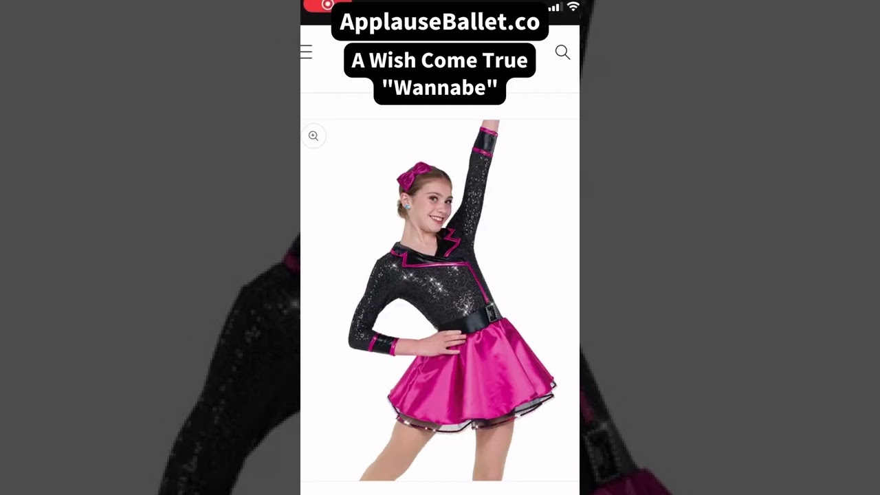 Dance Costume Pink Skirt A Wish Come True 