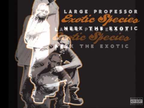 Neek the Exotic & Large Professor, Satchel Page & Fortune - Toast Tonight (prod. Large Professor)