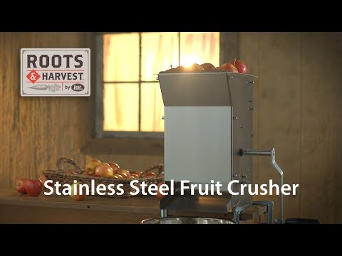 Stainless Steel Automatic Fruit Crusher Machine, 1 HP, 100 kg/hr