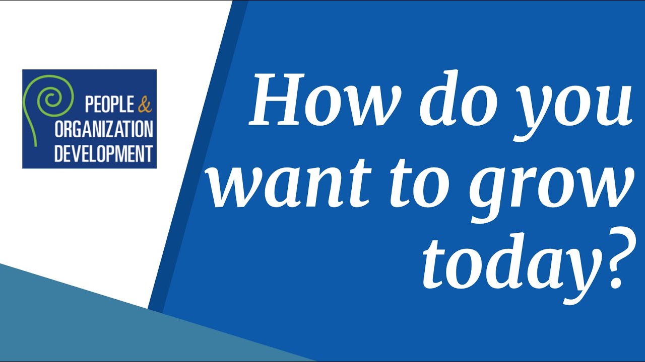 People & Organization Development Overview