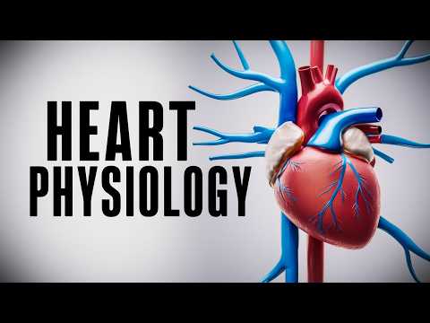The Cardiac Cycle Simplified - What You Need to Know