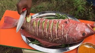 Steaming a 12 Pound Red Snapper - Steaming a Big Fish - Steaming a Fish in Our Village