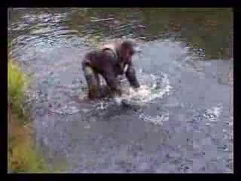 The Mörrum River (Trailer)