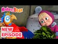 Masha And The Bear 2025 NEW EPISODE It S No Slice Of Heaven Best Cartoon Collection