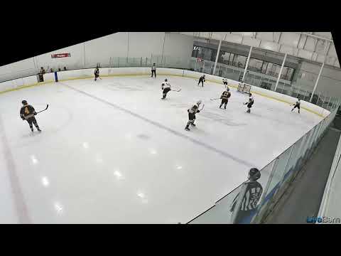 Brewins goal # 4   Mike perfectly screened on shot from point  1611983