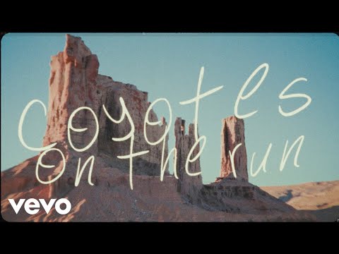Coyote