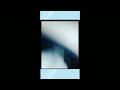 Desi Gun WhatsApp Status Gun In Car Punjabi Gun Status Desi Gunstatus