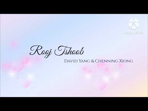 Rooj Tshoob - David Yang & Chenning Xiong (lyrics)