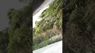 Download lagu hello everyone,travelling somawhere mp3 Download lagu hello everyone,travelling somawhere mp3