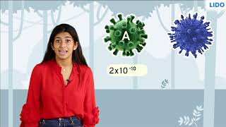 Comparing small numbers in scientific notation | Exponents and Power | Class 8 Math ICSE