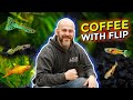 Ep. 30 Exploring Live Bearer Nano Fish - Coffee With Flip [Aquarium Podcast]