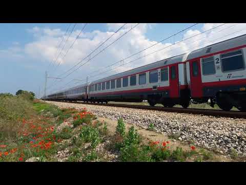 Frecciabianca 8828 con porte ROSSE in transito nelle campagne di Mola verso Torino porta nuova