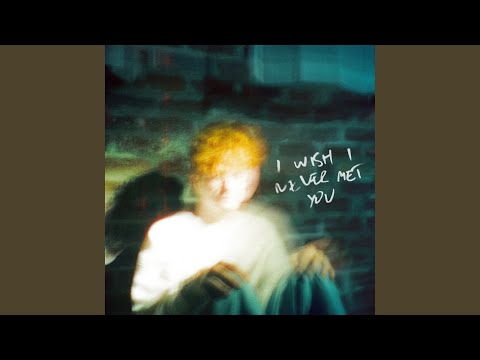 i wish i never met you