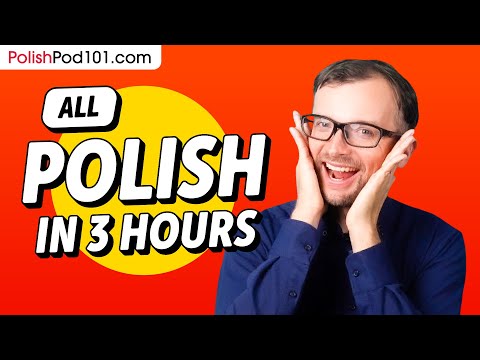 Learn Polish in 3 Hours - ALL the Polish Basics You Need