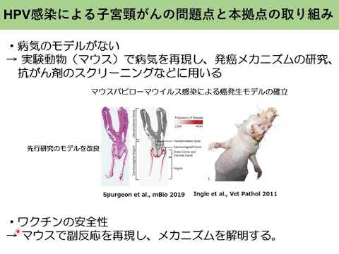致命的な病気: コロナウイルスはこの研究所から来たのでしょうか?