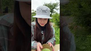 向島百花園の茶屋で抹茶を一服　Enjoying a quiet bowl of matcha at the teahouse in Mukojima Hyakkaen, Tokyo