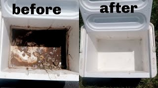QUICK TIP COOLER SMELL GONE FORVER | DEEP CLEAN COOLER | TEACH ME HOW TO CLEAN