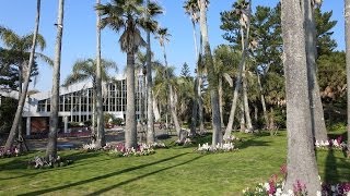 preview picture of video '宮崎県立青島亜熱帯植物園. Miyazaki Prefectural Aoshima Subtropical Botanical Garden.'