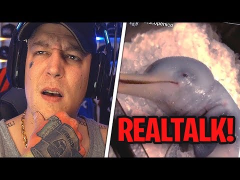 Realtalk zum Baby Delfin Video🤔 Doppelmoral der Zuschauer?🙃 MontanaBlack Realtalk