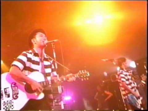 THE COLTS-LIFE IS A CIRCUS