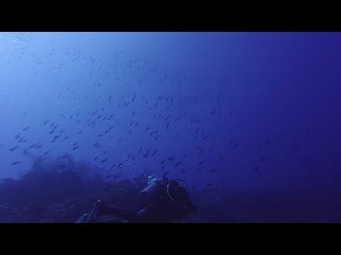 Devils Reef Scuba Dive (full unedited video)