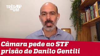 Diogo Schelp: Ao pedir prisão de Gentili, deputados perderam senso de ridículo