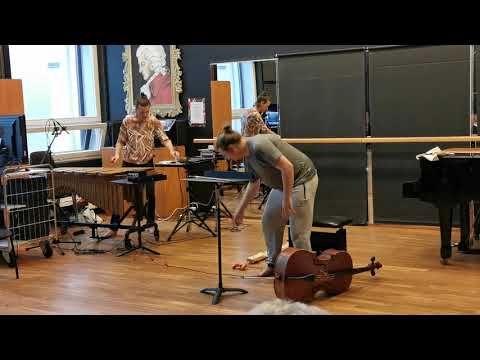 Ville Lodders and Andro Manzoni in Operastudio of EAMT, 29.06. 2020