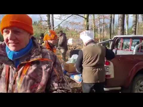 Jaktkamraterna och ett gäng goa norrmän på drevjakt i Polen 2022