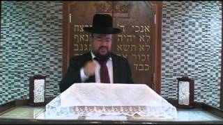 פרשת בלק – מעלת הצניעות