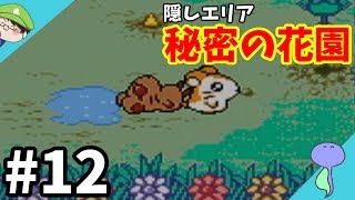 とっとこ集める！スター探し~裏ステージ!?秘密の花園~-とっとこハム太郎2 ハムちゃんず大集合でちゅ-