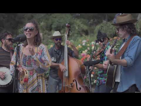 The Brothers Comatose - "Can't Take My Eyes Off You" (by Frankie Valli) Feat. Lindsay Lou